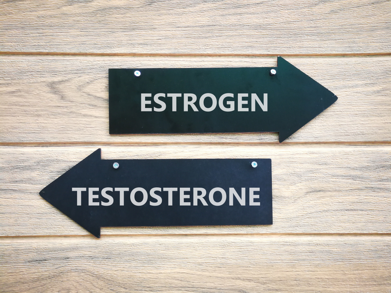 estrogen and testosterone